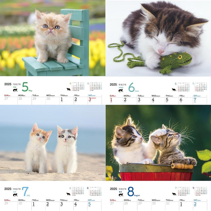 JTB Calendar Nyanko 2025 Wall Calenda