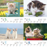 JTB Calendar Nyanko 2025 Wall Calenda