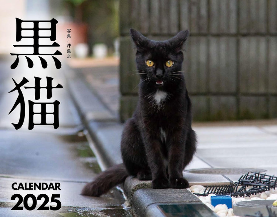 Black Cat Calendar 2025