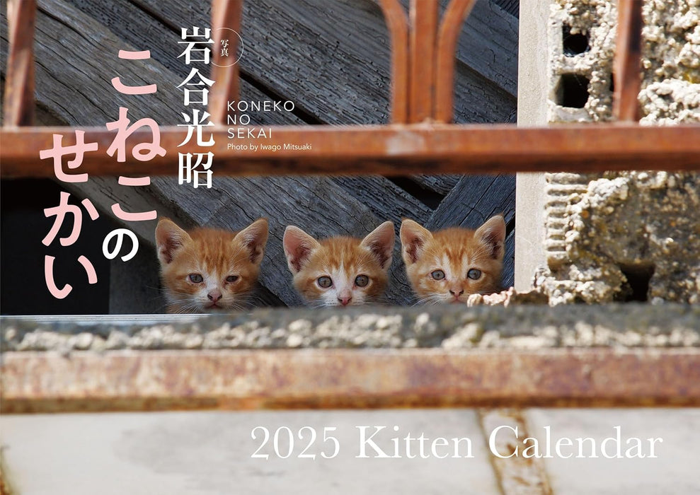 Koneko no Sekai 2025 Kitten Calendar S17