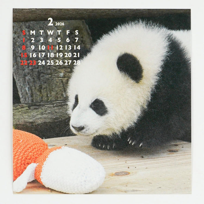 Greeting Life 2026 Desk Calendar Panda FD C-1693-PA