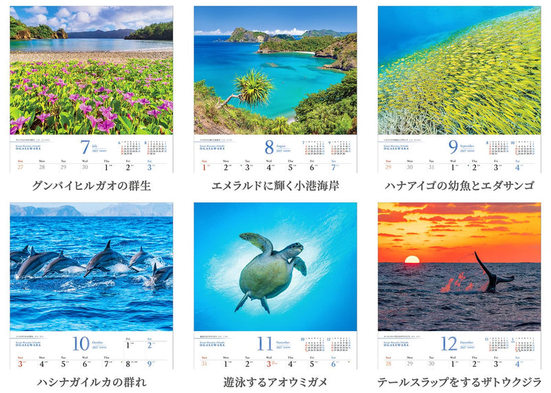 Shashin Koubou Calendar 'Great Oceanic Islands OGASAWARA' 2027 Wall Calendar (with Paper Holder)