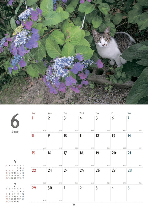 Street Corner Cats Calendar 2025 (Wall Calendar)