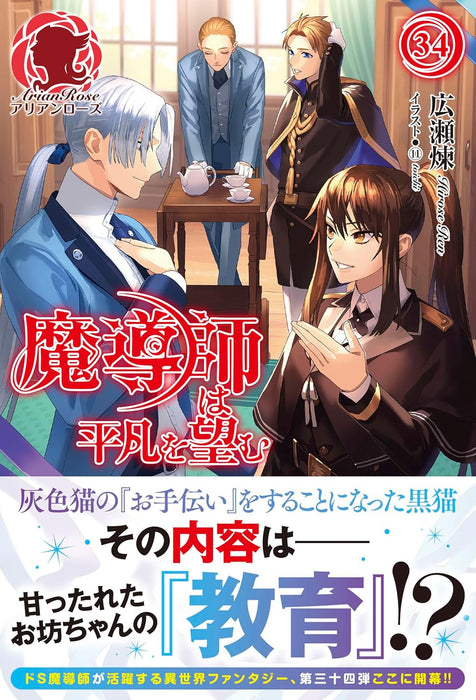 The Magician Wants Normality (Madoushi wa Heibon wo Nozomu) 34 (Light Novel)
