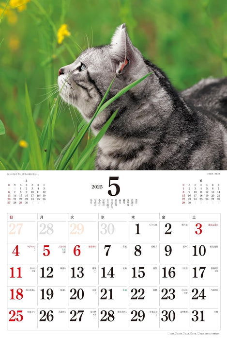 2025 Japanese Cats Calendar