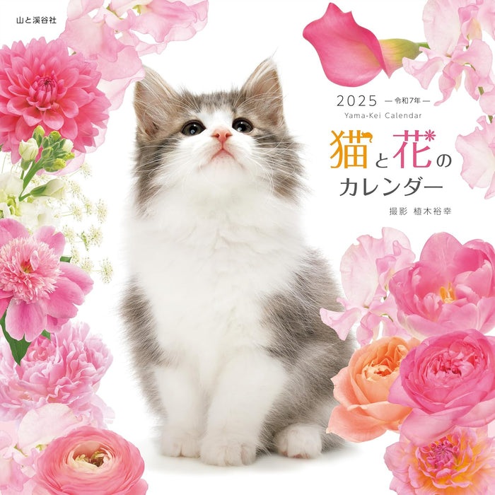 Calendar 2025 Cat and Flower Calendar (Monthly/Wall Calendar) (Yama-kei Calendar 2025)