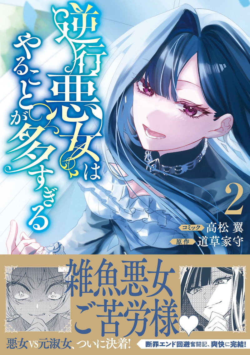 Gyakkou Akujo wa Yarukoto ga Oosugiru 2