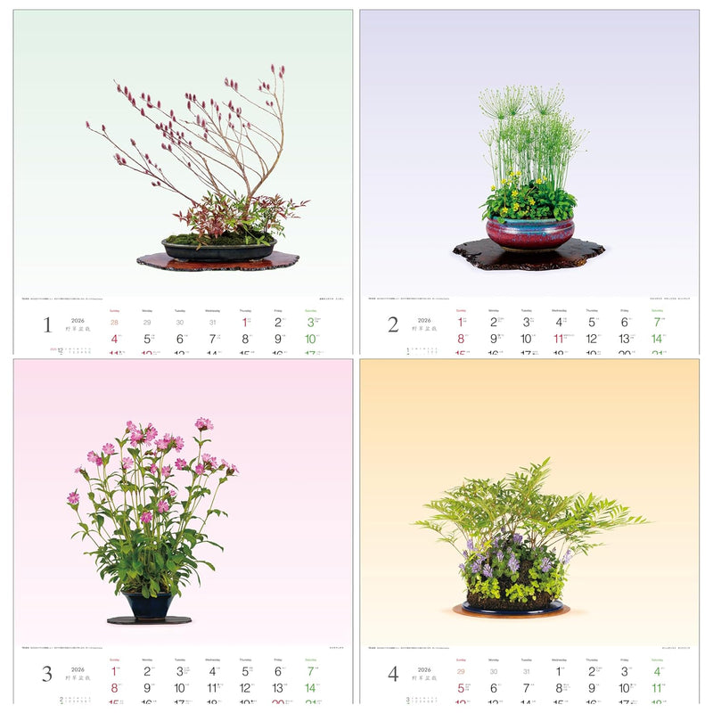 Todan 2026 Wall Calendar Wildflower Bonsai 53.5 x 38cm TD-819
