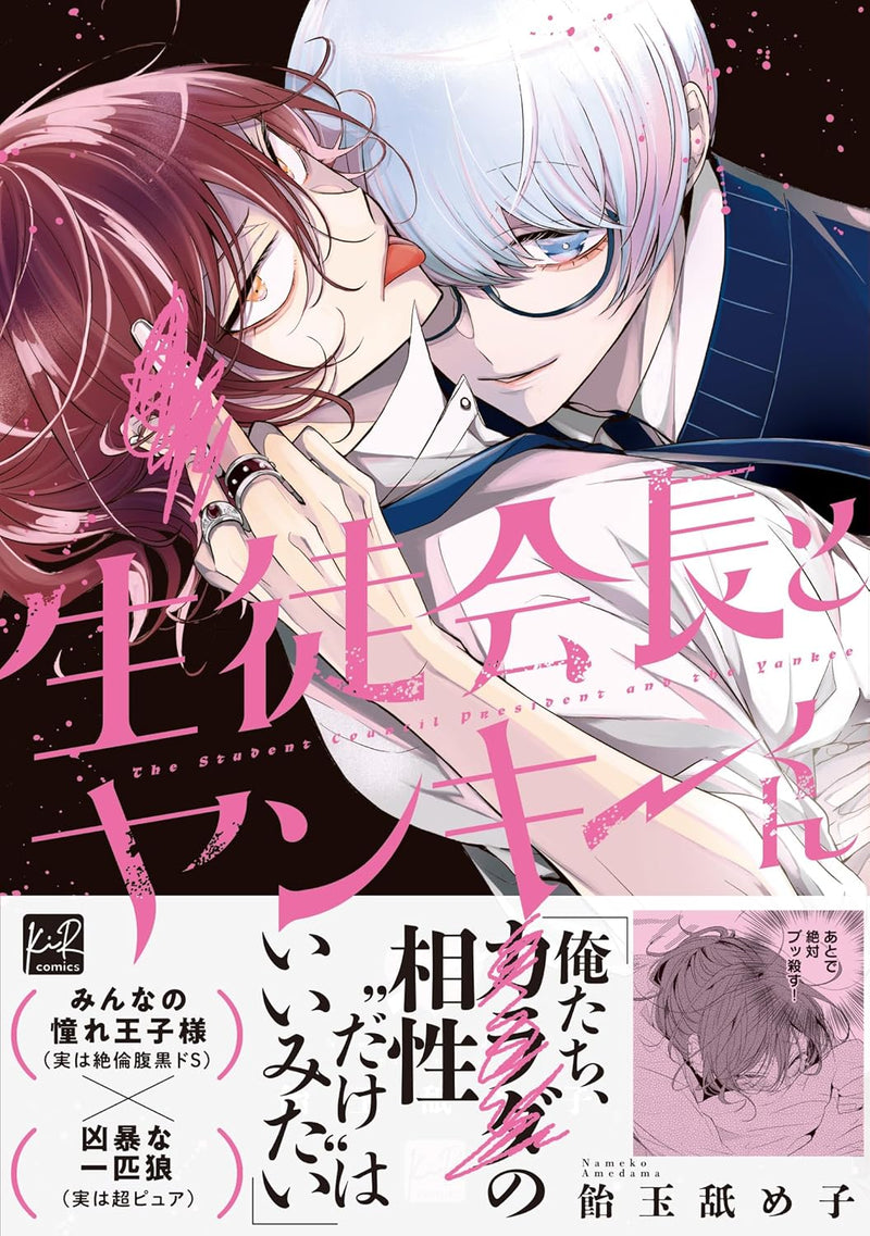 Seitokaichou to Yankee-kun