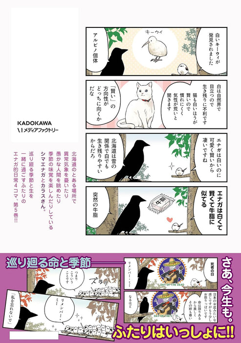 Eikyuu Kikan Shimaenaga: Shimaenaga to Karasu-san Gohaimee!