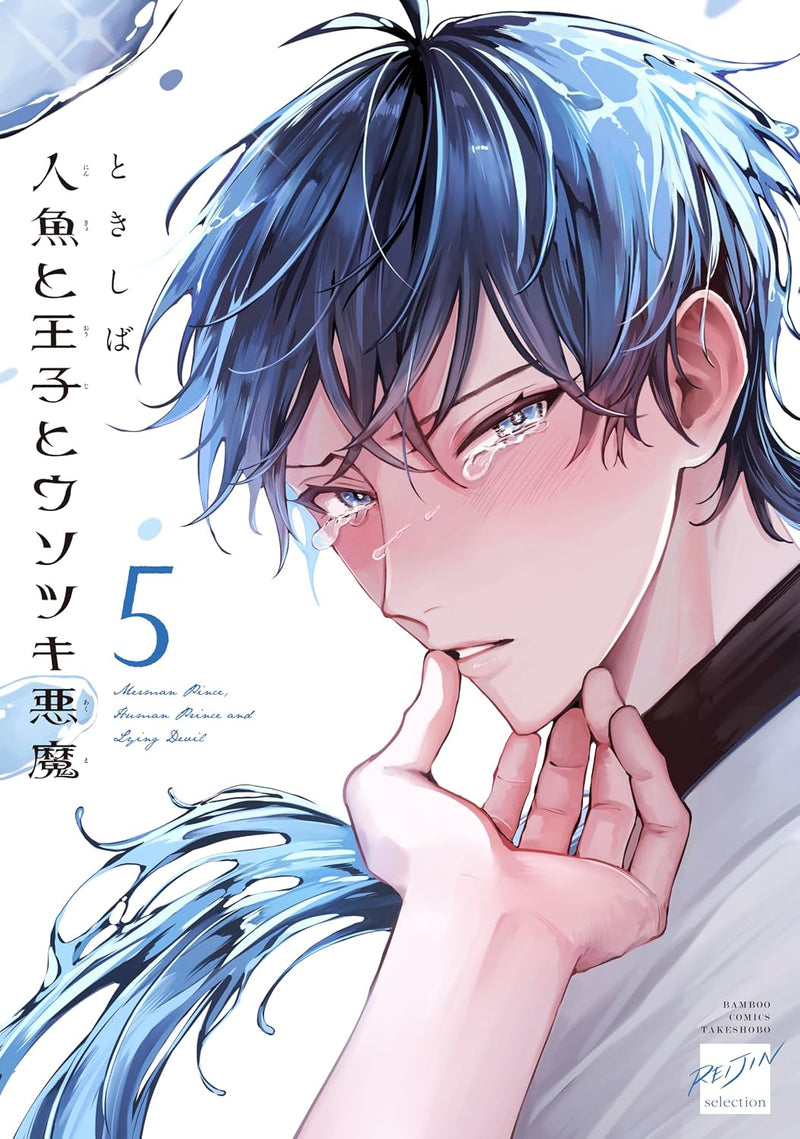 Ningyo to Ouji to Usotsuki Akuma 5