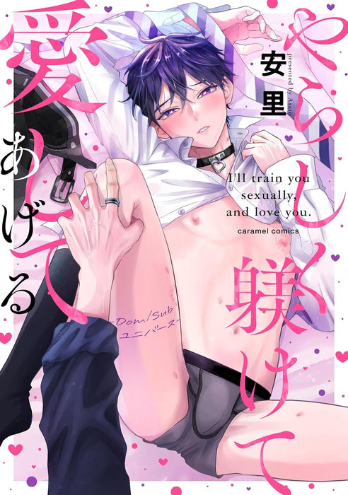 Yarashiku Shitsukete Aishite Ageru - Dom/Sub Universe -