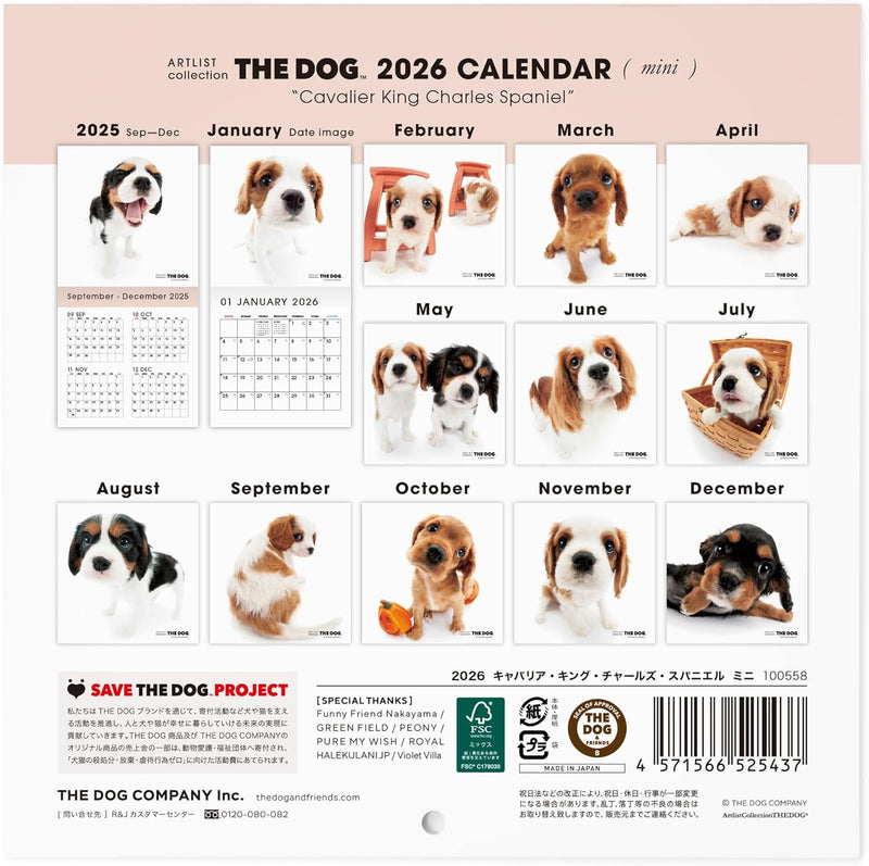 THE DOG 2026 Wall Calendar Mini Size [Cavalier King Charles Spaniel]