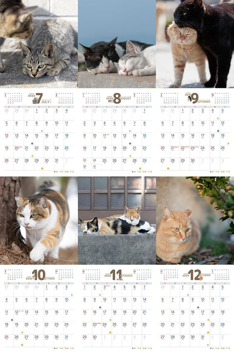 Carefree Cat Calendar 2026