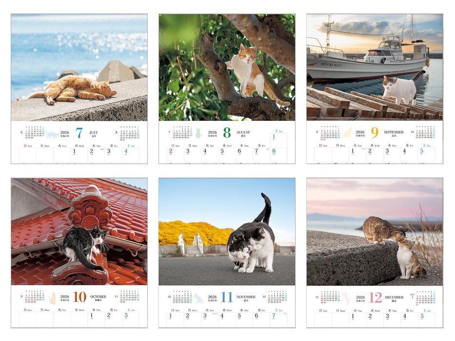 Calendar 2026 Soto Neko (Monthly/Wall Calendar) (Impress Calendar 2026)