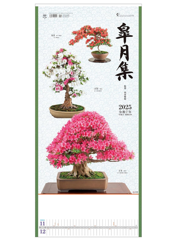 Todan 2025 Wall Calendar Satsuki Shu 76.5 x 35cm TD-784