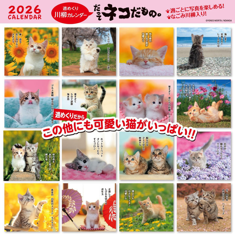Active Corporation 2026 Desk Calendar Datte Neko Damono. 26ACL-567