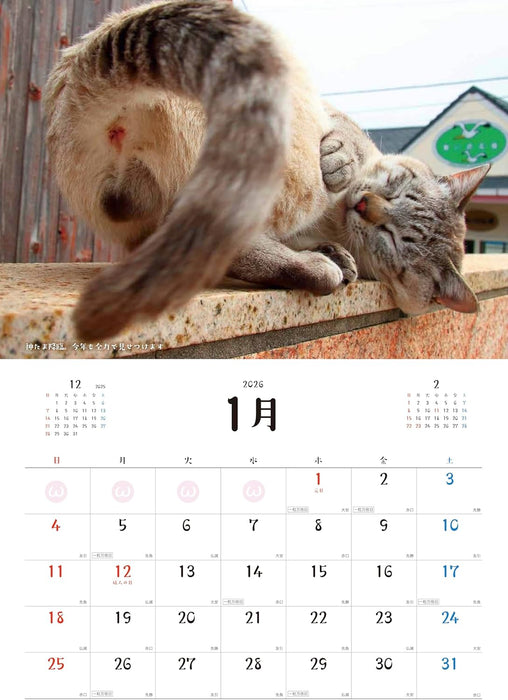 Hagoromo Good Luck!! Nyantama 2026 Wall Calendar Rumiko Yoshizawa CL26-0395