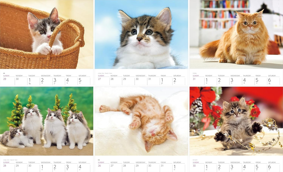 Calendar 2025 Cats (Monthly/Wall Ring Calendar) (Yama-kei Calendar 2025)