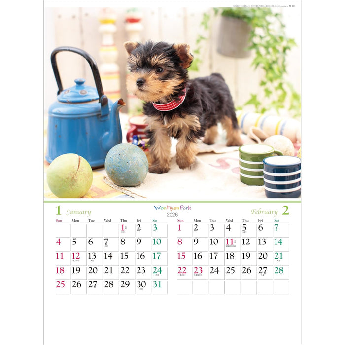 Todan 2026 Wall Calendar Wan Nyan Park 53.5 x 38cm TD-931
