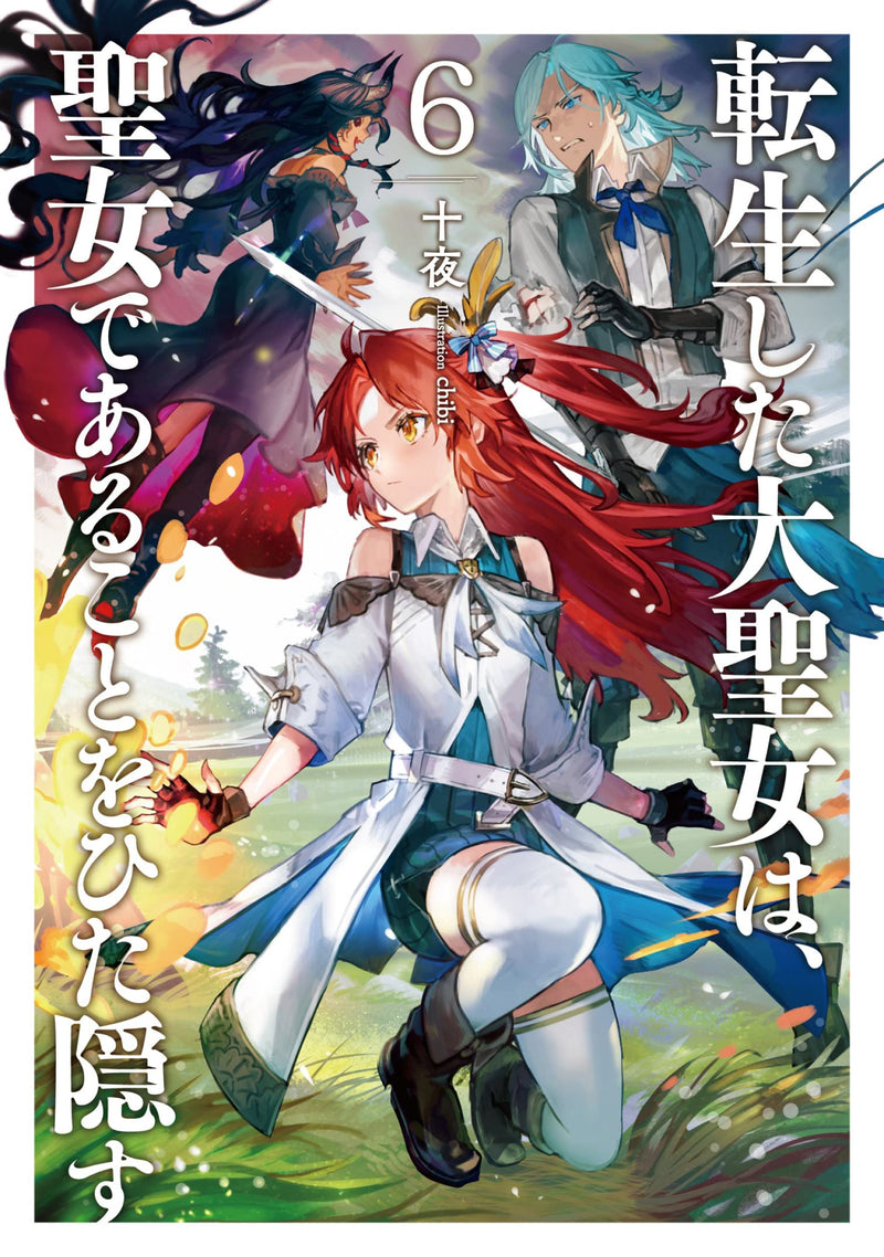 Tensei shita Daiseijo wa, Seijo de Aru Koto wo Hitakakusu 6 (Light Novel)