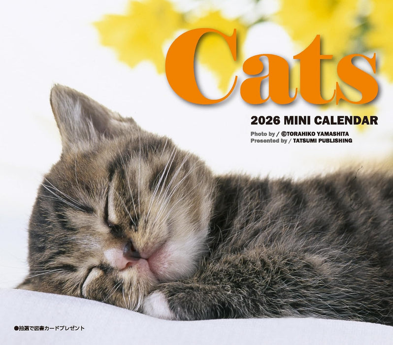 2026 Mini Calendar Cats