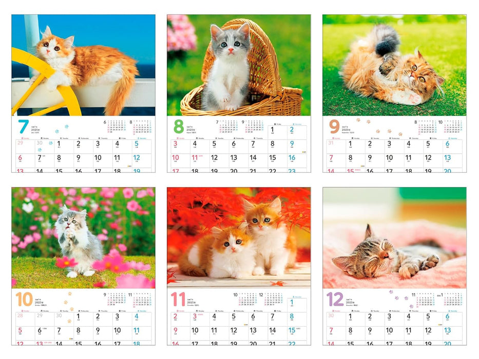 Calendar 2025 Mofu Mofu Koneko (Monthly/Wall Calendar) (Impress Calendar 2025)