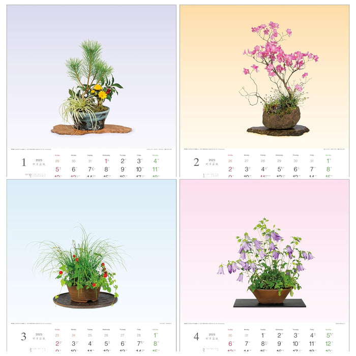 Todan 2025 Wall Calendar Wildflower Bonsai 53.5 x 38cm TD-819