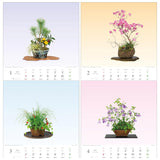 Todan 2025 Wall Calendar Wildflower Bonsai 53.5 x 38cm TD-819