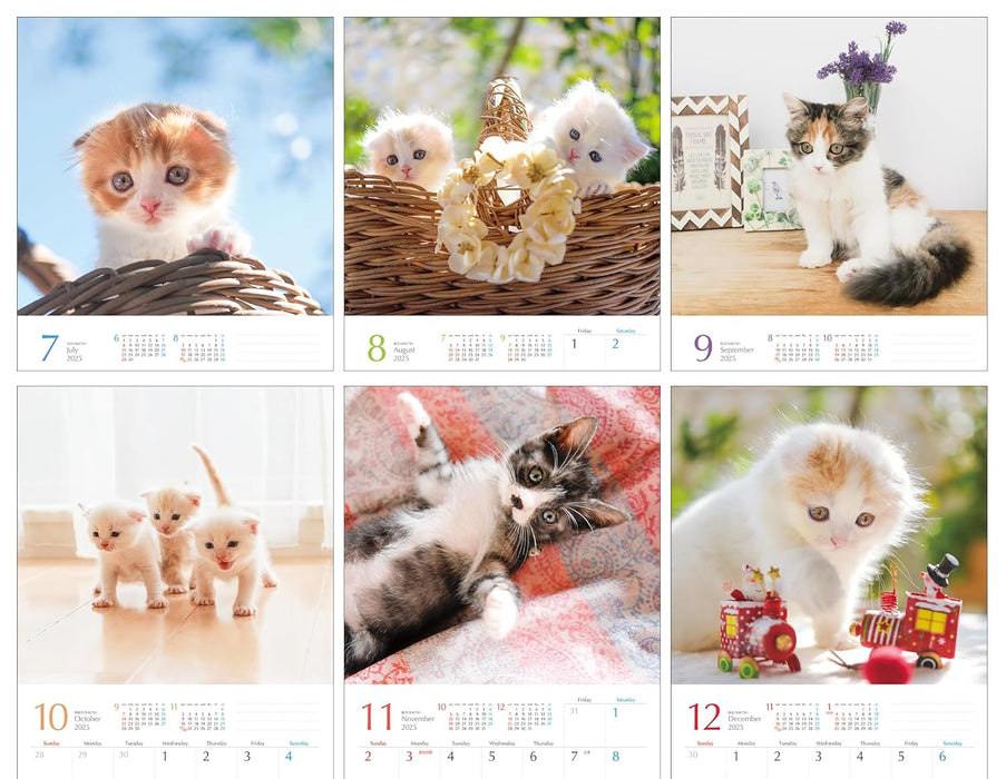 2025 Kimagure Nyanko Wall Calendar