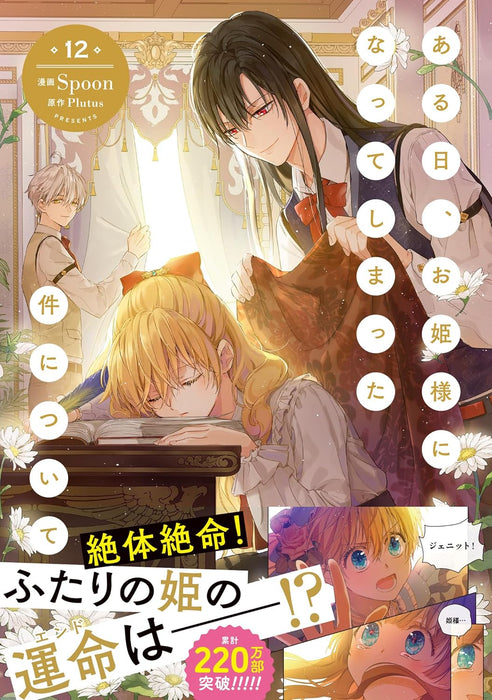 Aruhi, Ohimesama ni Natteshimatta Ken ni Tsuite 12