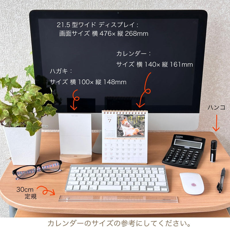 Active Corporation 2025 Desk Calendar Hinatabokko Neko Dayori 25ACL-539