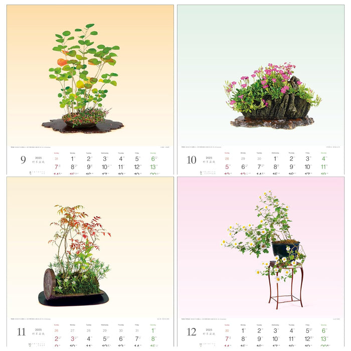 Todan 2025 Wall Calendar Wildflower Bonsai 53.5 x 38cm TD-819