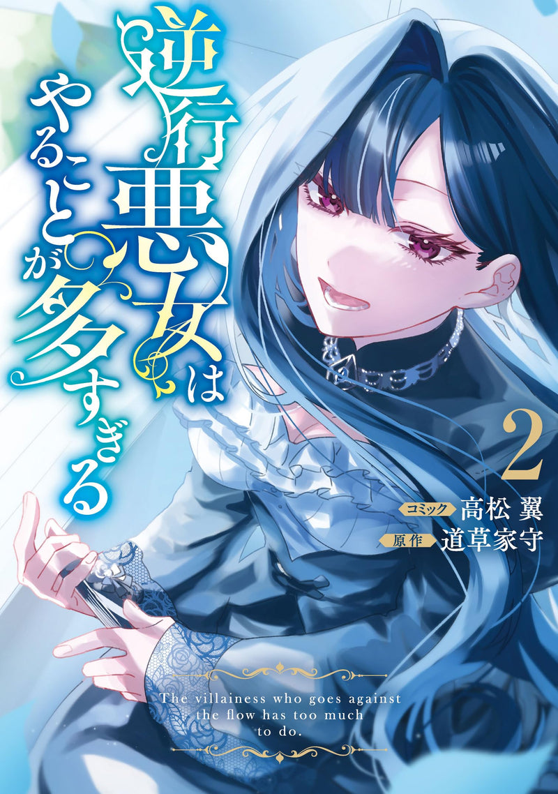 Gyakkou Akujo wa Yarukoto ga Oosugiru 2