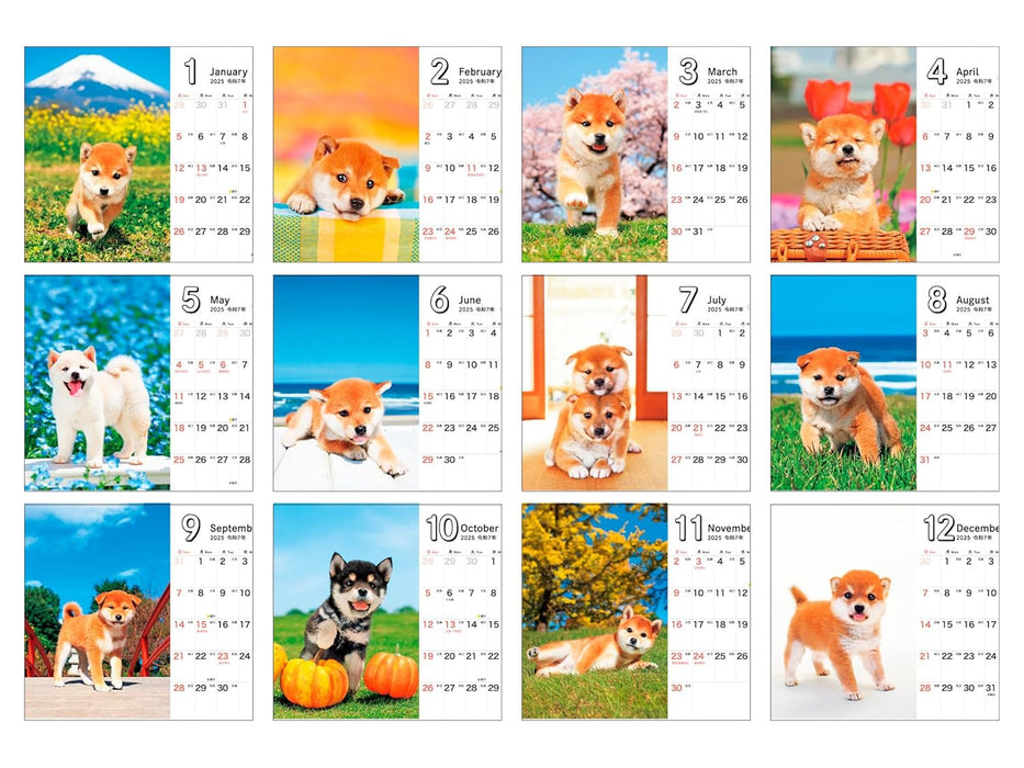 Shiba Inu Biyori mini 2025 Calendar (Impress Calendar 2025)