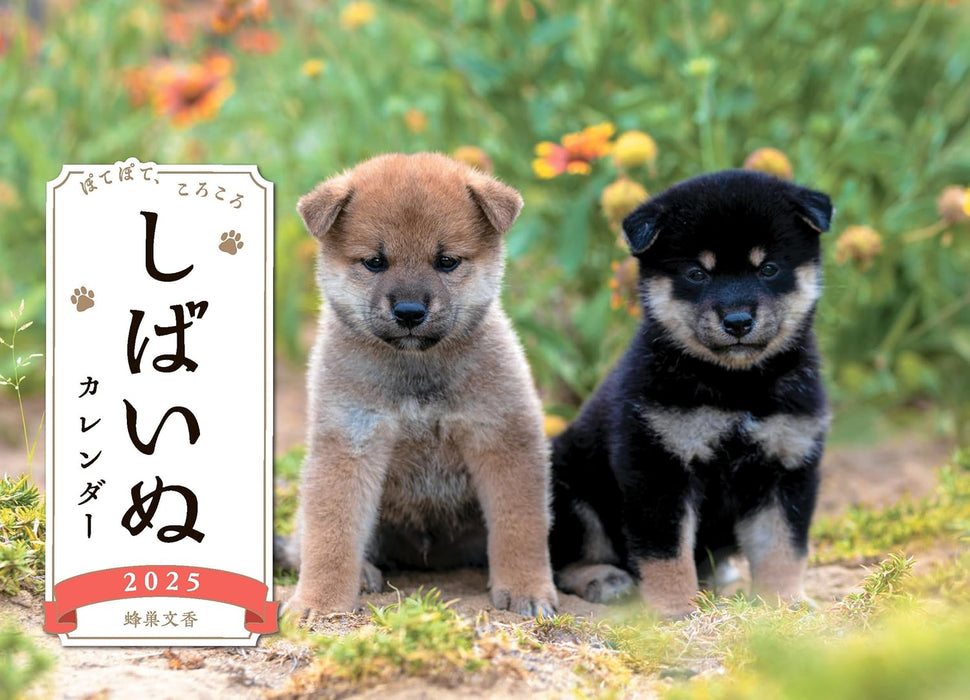 Shiba Inu Desk Calendar 2025