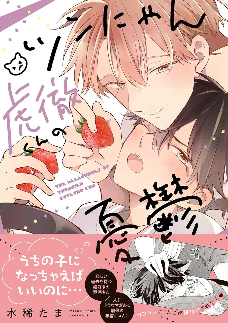 Tsun Nyan Kotetsu-kun no Yuuutsu