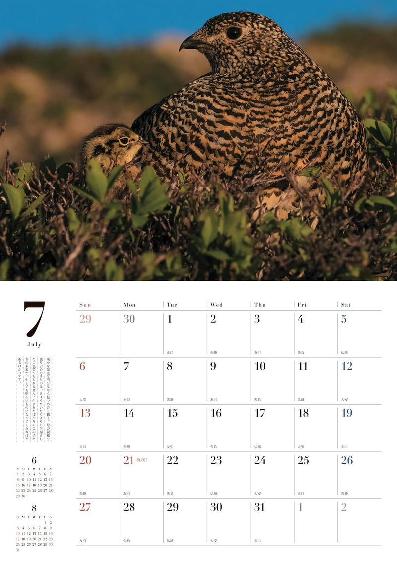 Rock Ptarmigan (Raichou) Seasons of the Sacred Bird 2025 Wall Calendar