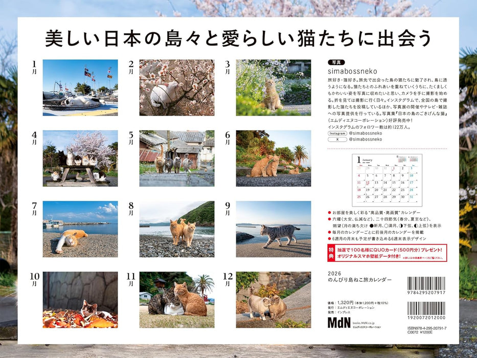 Relaxing Island Cat Journey 2026 Calendar