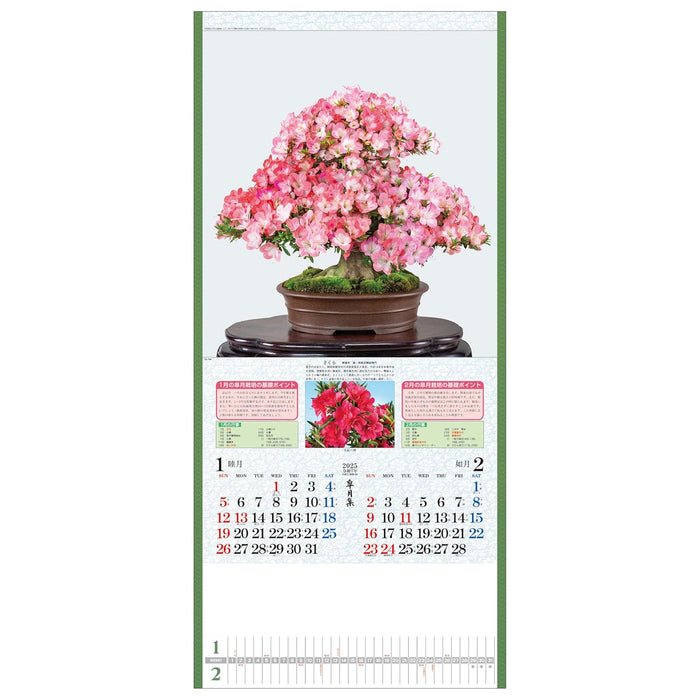 Todan 2025 Wall Calendar Satsuki Shu 76.5 x 35cm TD-784