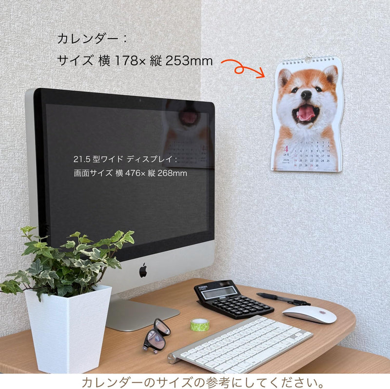 Active Corporation 2026 Wall Calendar Shibainu Desu 26ACL-65