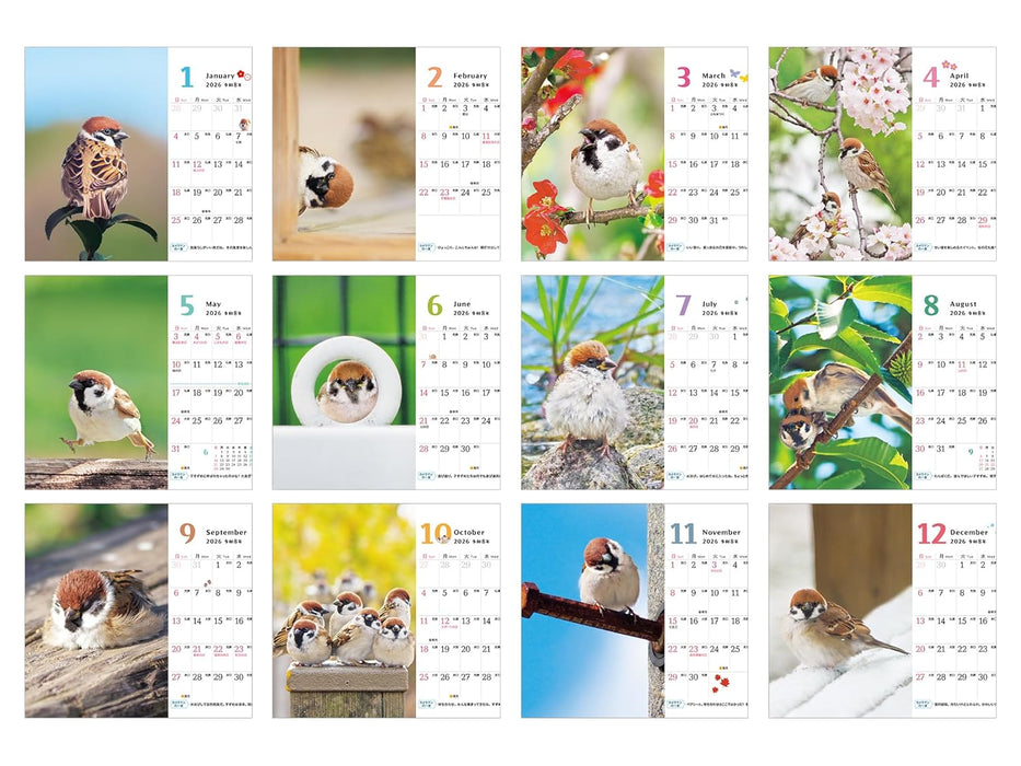 Suzume Gurashi mini Calendar 2026 (Impress Calendar 2026)