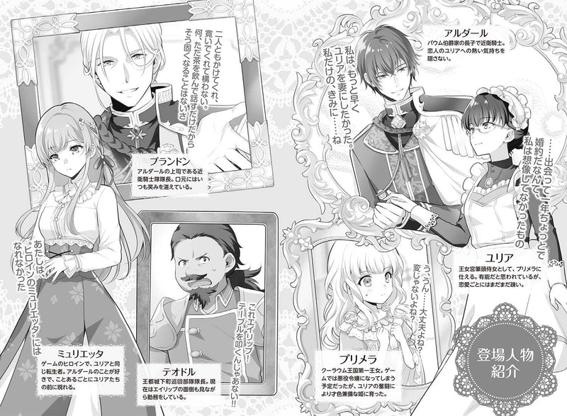 Tensei Shimashite, Genzai wa Jijo de Gozaimasu. 12 (Light Novel)