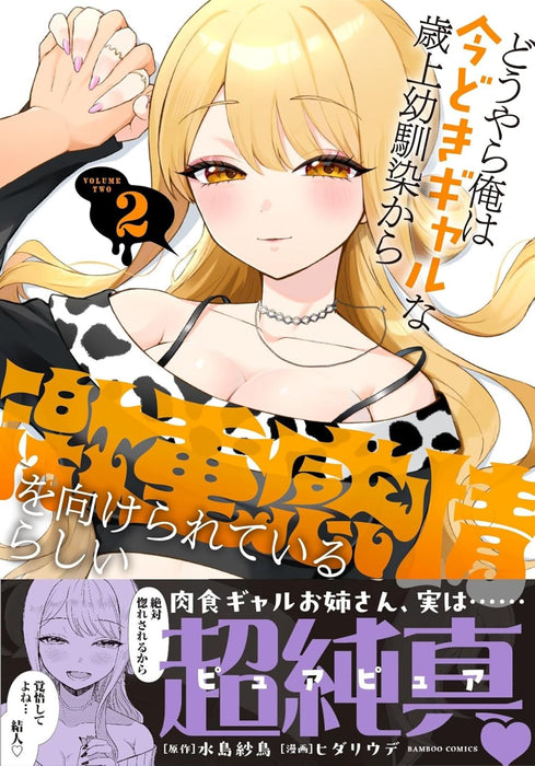 Douyara Ore wa Imadoki Gal na Toshiue Osananajimi kara Gekiomo Kanjou wo Mukerareteiru Rashii 2