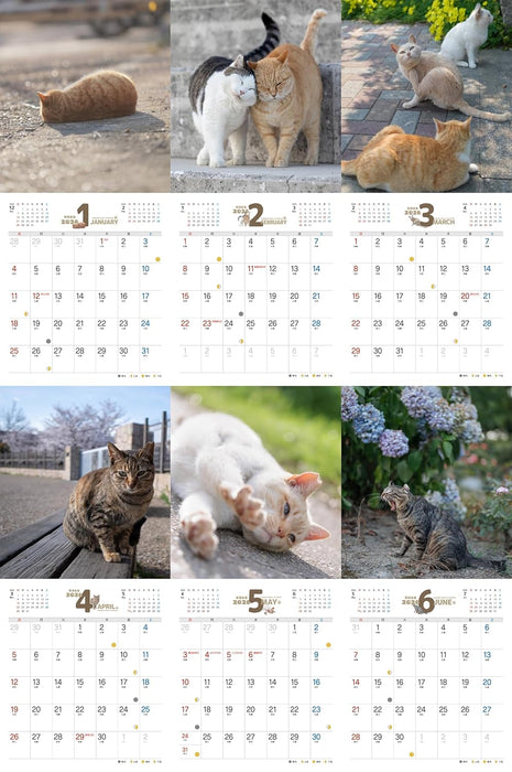 Carefree Cat Calendar 2026
