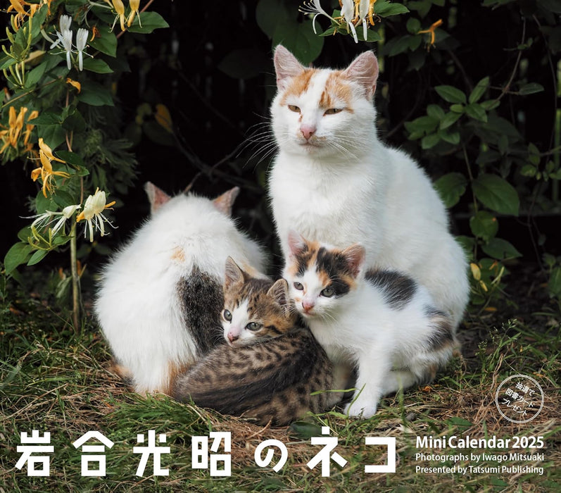 2025 Mini Calendar Mitsuaki Iwago Cats