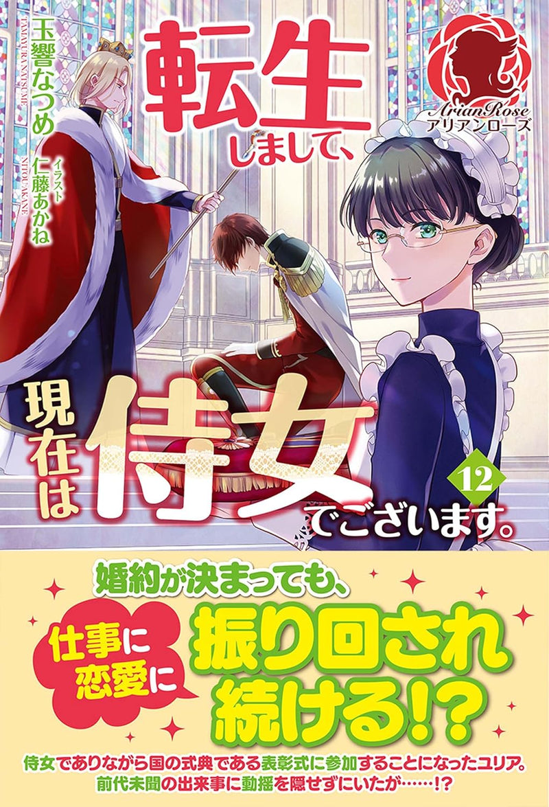 Tensei Shimashite, Genzai wa Jijo de Gozaimasu. 12 (Light Novel)