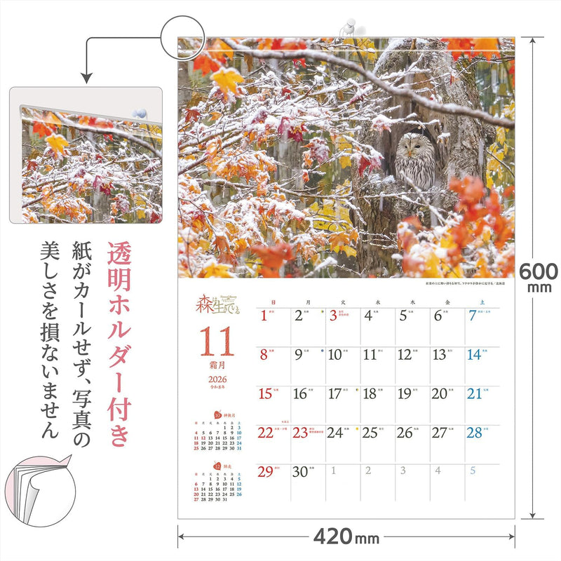 Shashin Koubou Calendar 'Natural Beatury in Japanese Forests' 2026 Wall Calendar (with Transparent Holder)