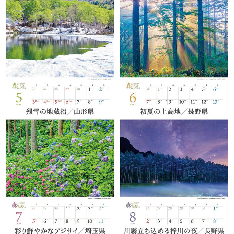 Shashin Koubou Calendar 'Natural Beatury in Japanese Forests' 2026 Wall Calendar (with Transparent Holder)