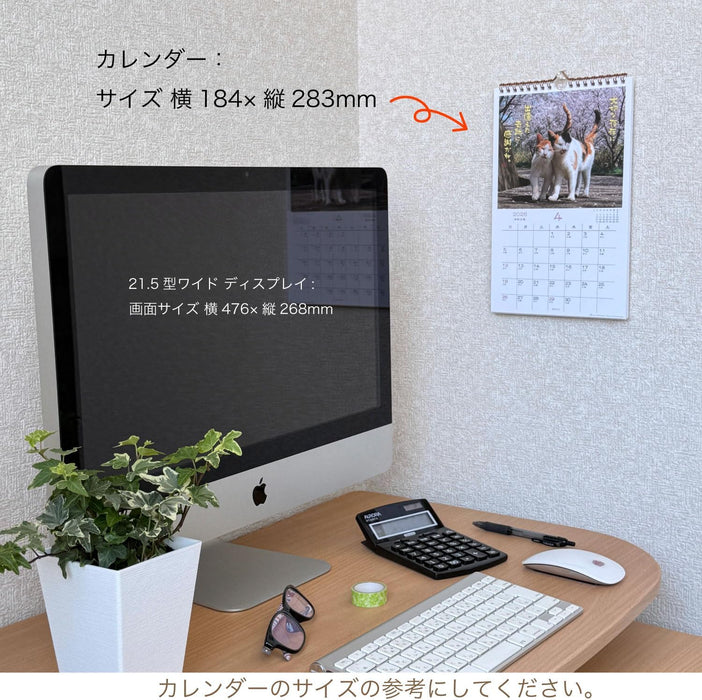 Active Corporation 2026 Wall Calendar Hinatabokko Neko Dayori 26ACL-04